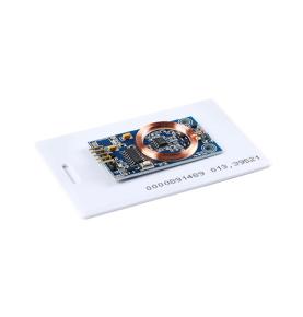 Cárta aitheantais modúl díchódaithe léitheoir cárta RFID cárta rialaithe rochtana 125K RF MCU port srathach modhnú DIY