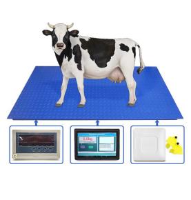 Córas meáite aitheantais chlib chluaise eallaigh RFID scála ainmhithe leictreonacha aitheantais chlib ainmhíoch RFID scála urláir le scáileán tadhaill cliste