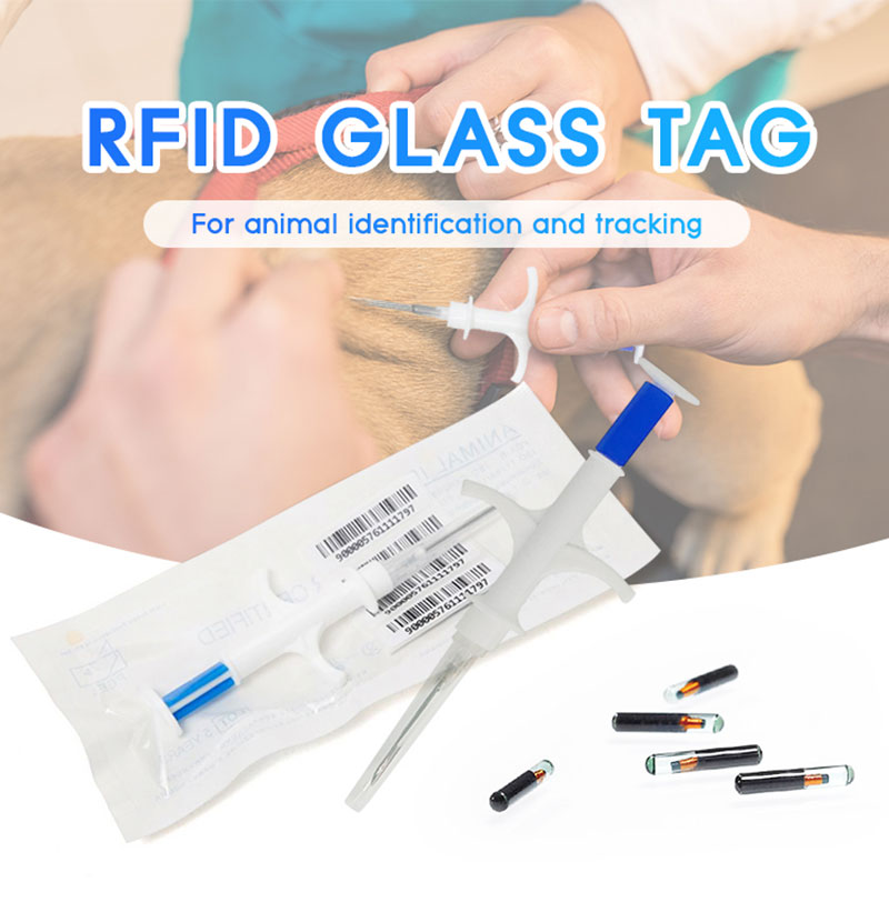 Instealladh ainmhithe clib bhithleictreonach feadáin ghloine RFID